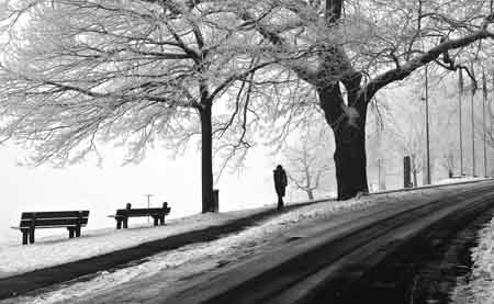 Fluntern, Winter
